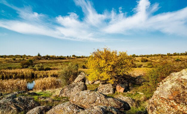 Autumn beautiful yellowed vegetation and gray stones covered with multi-colored lichen and moss in the nature of hills and picturesque Ukraine