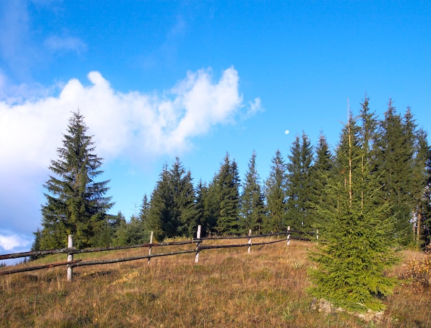 Autumn beginning morning in Carpathian mountain, Ukraine.