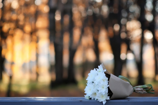 Фото Осенняя скамейка в парке потерянный букет цветов