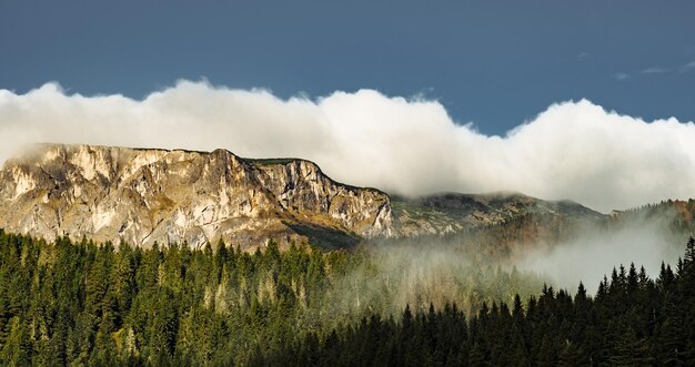 가을 검은 호수 Durmitor 국립 공원 Zabljak 몬테네그로