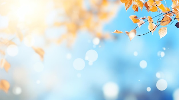 autumn bokeh background with branches and leaves