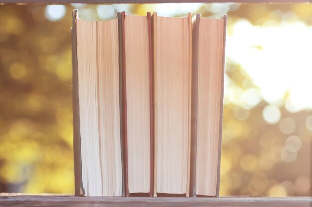 Autumn book stack wooden outdoor