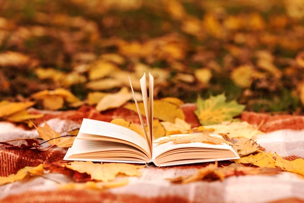 Autumn book with yellow fallen autumn leaves background world book day autumn background