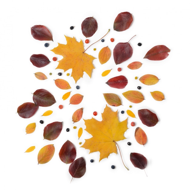 Autumn border. Composition of vibrant red and yellow leaves on a white background. 