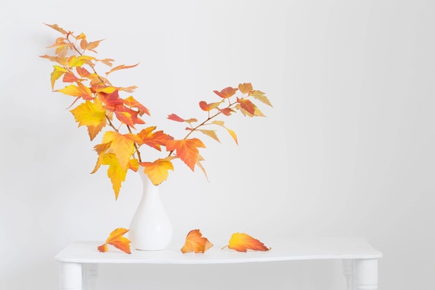 Осенний букет в белой вазе на деревянной полке в белом интерьере