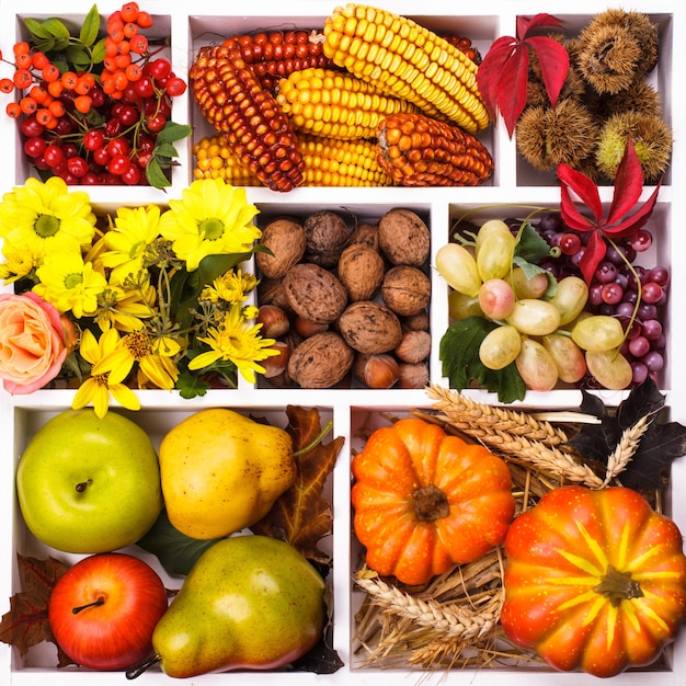 Foto autunno in una scatola - frutta, bacche, noci, fiori, mais e zucche