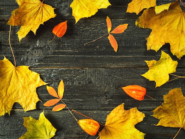 Autumn bright leaves on a wooden table