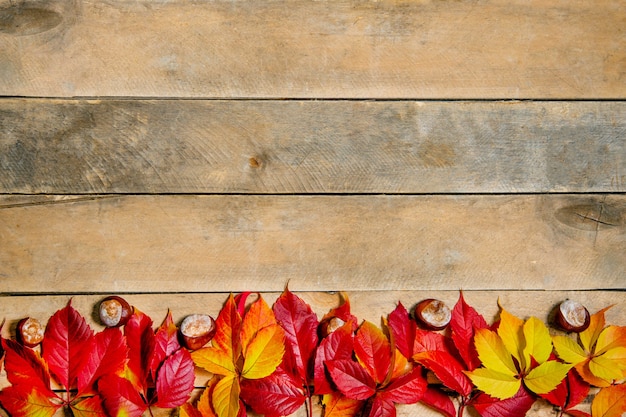 Осенние яркие желто-красные листья на деревянных фоне. Натуральный стол из досок. Вид сверху.