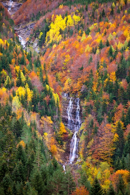 Autumn Bujaruelo Ordesa waterfal in colorful fall forest Huesca