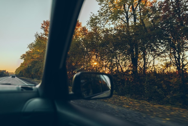 Autumn car travel concept trees with yellow leaves