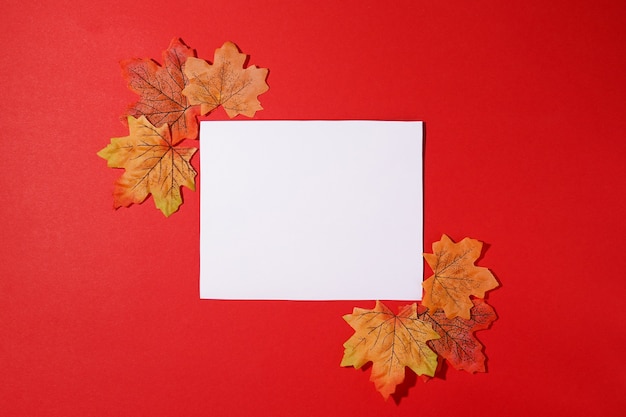 떨어지는 잎이 있는 빨간색 배경에 디자인 프레젠테이션을 위한 가을 카드 모형