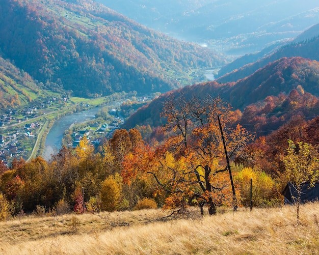 Montagna dei carpazi d'autunno rakhiv ucraina