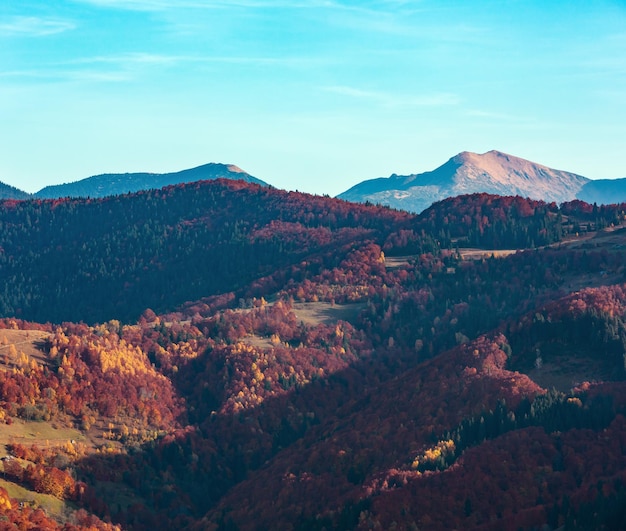秋のカルパティア山脈ウクライナ