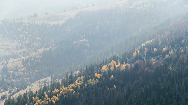 Autumn Carpathian mountains road