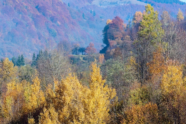 Autumn Carpathian mountains Ukraine