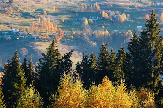 Осеннее карпатское село Украина