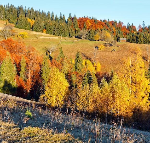 秋のカルパチア村ウクライナ