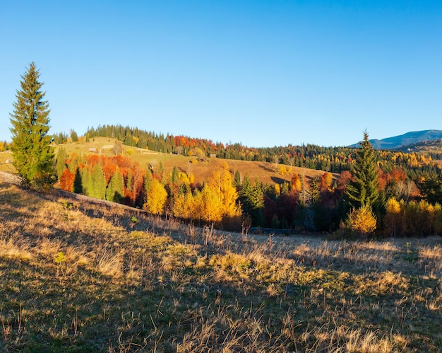 Autumn Carpathian village Ukraine