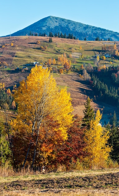 Осеннее карпатское село Украина