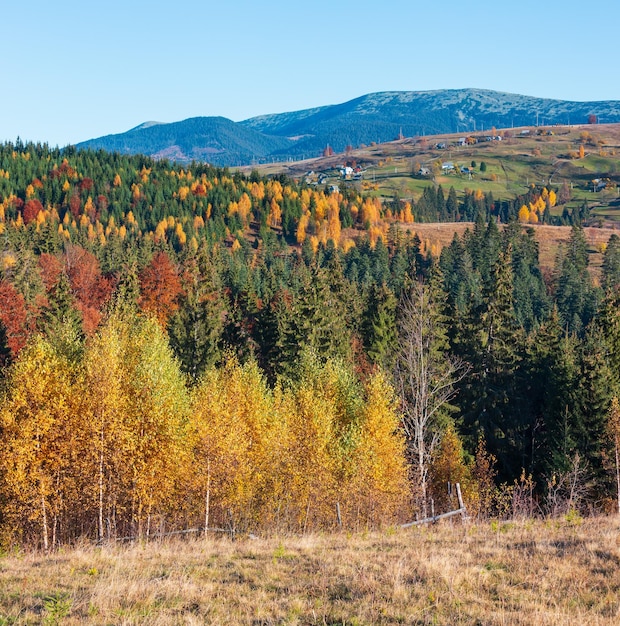 Осеннее карпатское село Украина