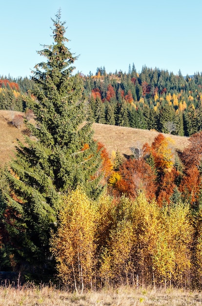 Autumn Carpathian village Ukraine