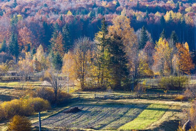 秋のカルパチア村ウクライナ