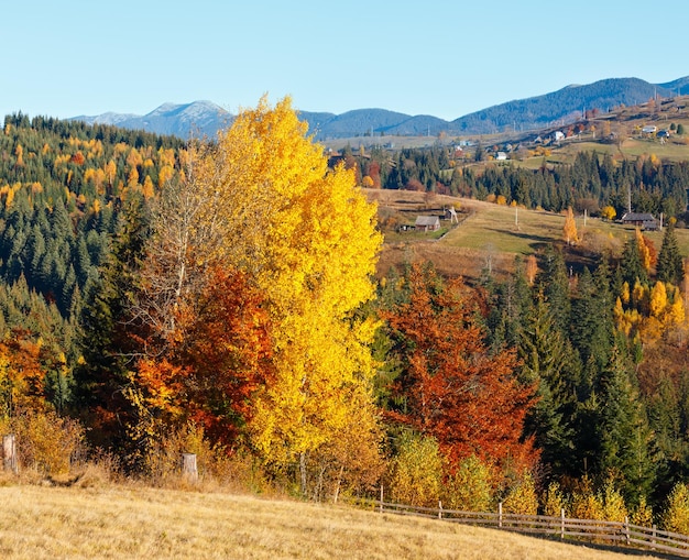 Осеннее карпатское село Украина