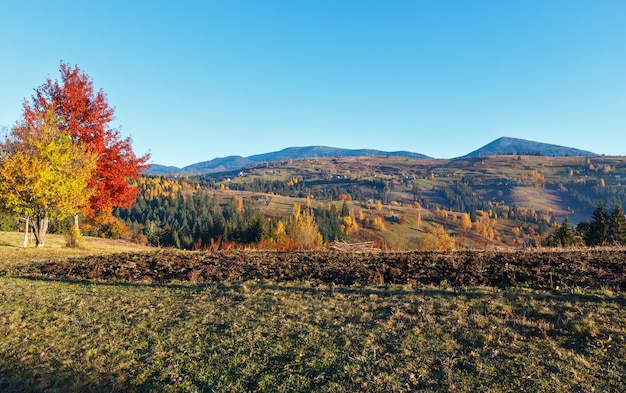 Осеннее карпатское село Украина