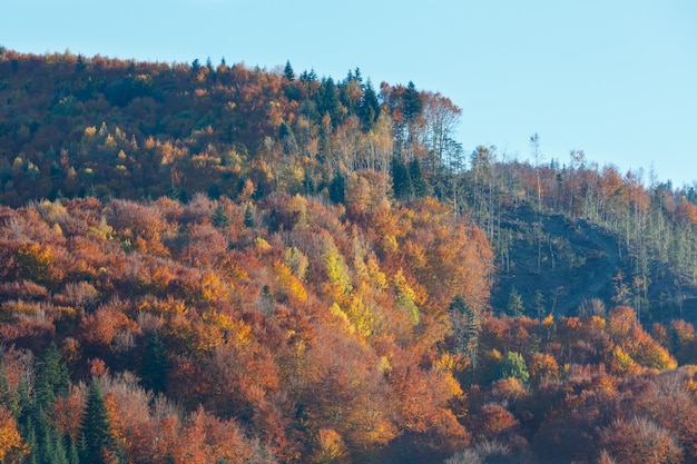 가을 Carpathians 우크라이나