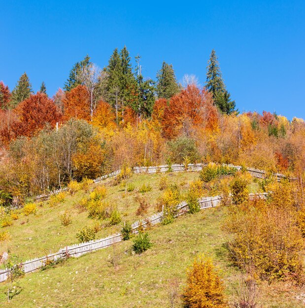 Осенние Карпаты Украина