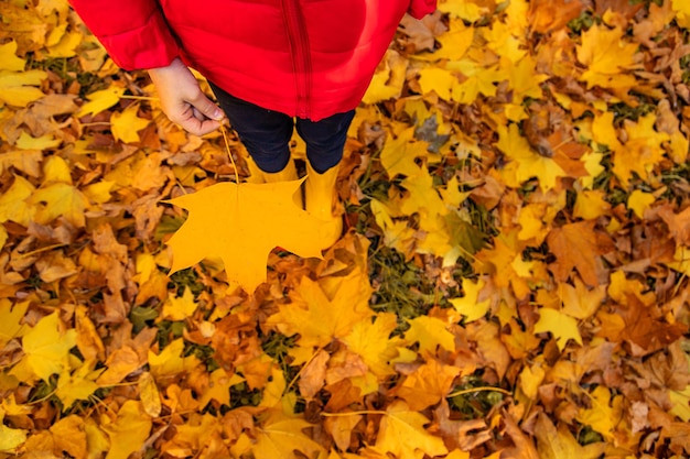 Autumn child in the park with yellow leaves Selective focus Kid