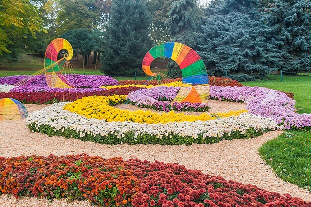 Foto esposizione di crisantemo autunnale a kiev ucraina 2016