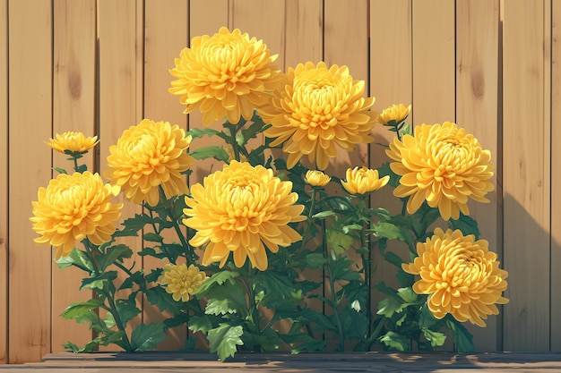 Autumn chrysanthemum illustration traditional autumnal equinox plant Double Ninth Festival concept