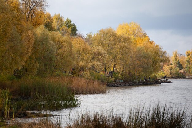 Photo autumn in the city