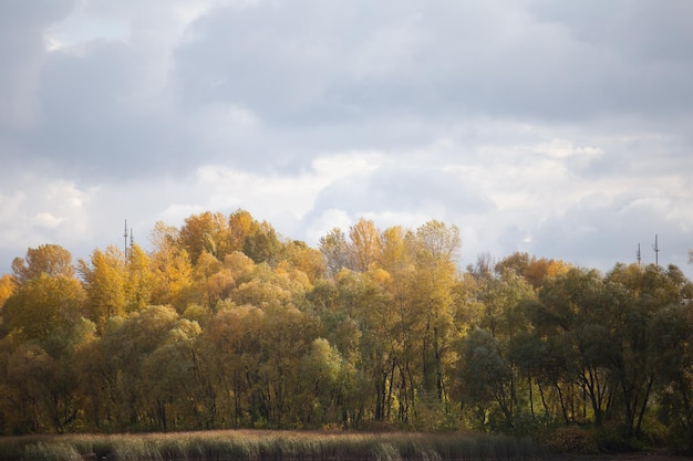 Foto autunno in città