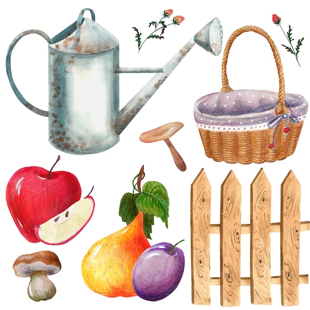 Autumn clip art with vegetables and fruits