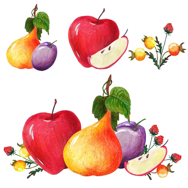 Autumn clip art with vegetables and fruits