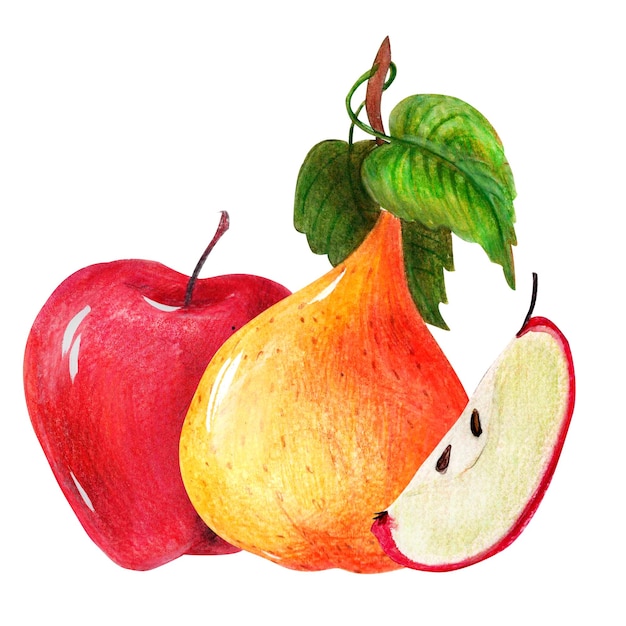 Autumn clip art with vegetables and fruits