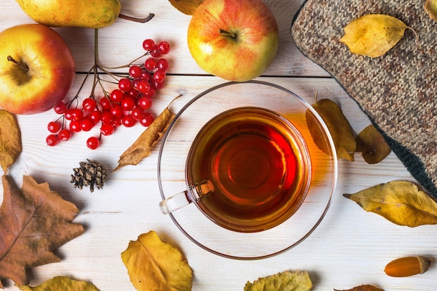 秋の服と木の背景にお茶を一杯