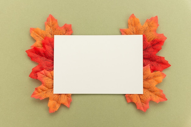 autumn collage on a green background with free space for your text autumn template invitation banner