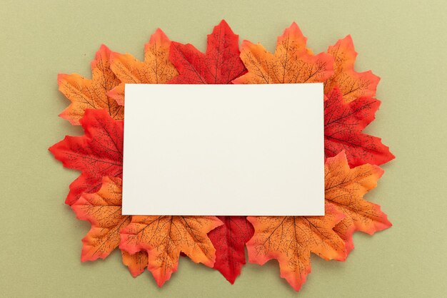 autumn collage on a green background with free space for your text autumn template invitation banner