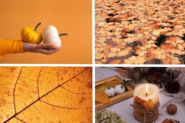 Осенний коллаж с оттенками оранжевого Осенняя концепция