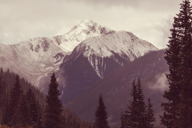 Autumn in Colorado