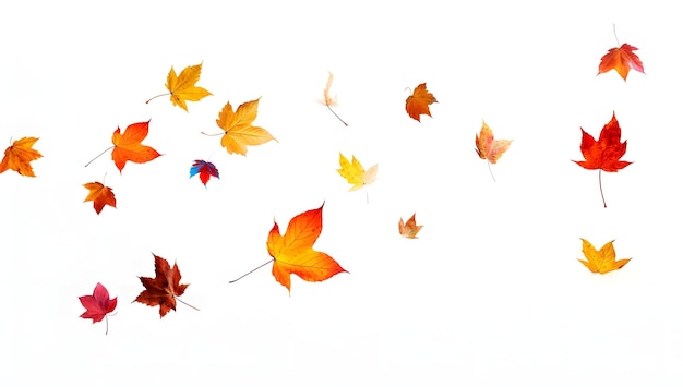 autumn colored fall leaf isolated on white background overlay texture