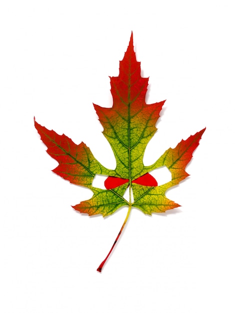 Autumn colored yellow and red maple leaf in the style of Halloween - face with red eyes. Isolated