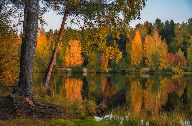 Осенний красочный красивый пейзаж. Лесное озеро в окружении ярких деревьев вечером