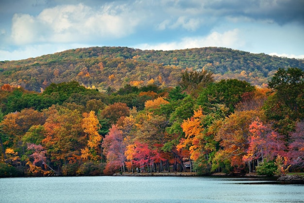 Autumn colorful foliage with lake reflection.