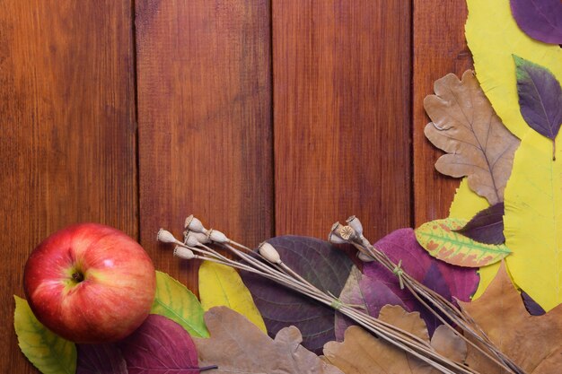 Autumn colorful leaves and an apple lie on a wooden brown background There is an empty space