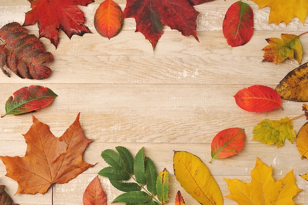木製の背景に秋の色とりどりの葉-上面図