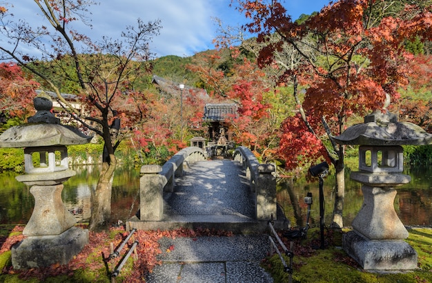 写真 京都の永観堂または禅林寺の紅葉